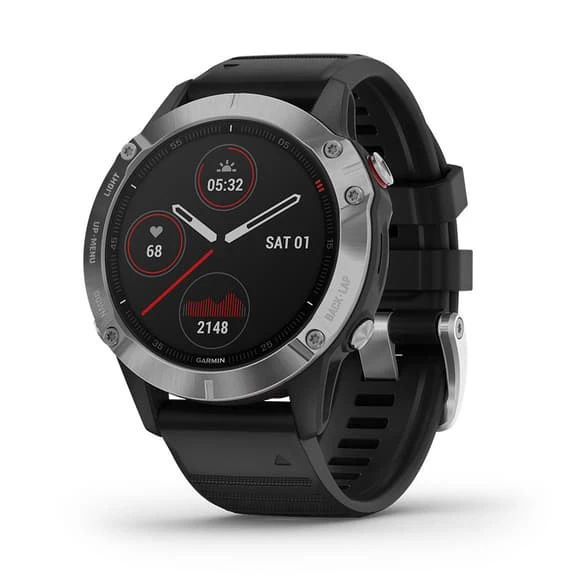 Garmin Fenix 6 Argent Noir Avec Bracelet Noir