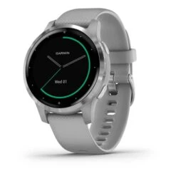 Garmin Vívoactive 4S Gris Avec Bracelet Gris