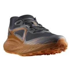 Chaussures Salomon Glide Max TR Noir Marron