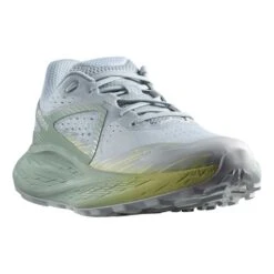 Chaussures Salomon Glide Max TR Gris Vert Femme